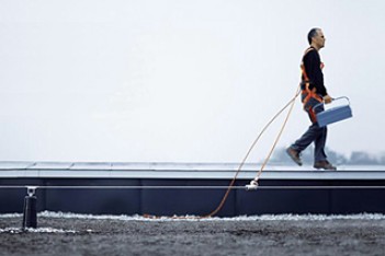 Vonalmenti kikötés (lifeline)